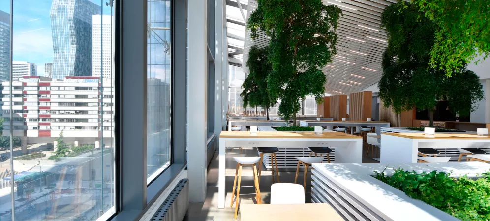 Træ i Saint-Gobain hovedkvarter i Paris
