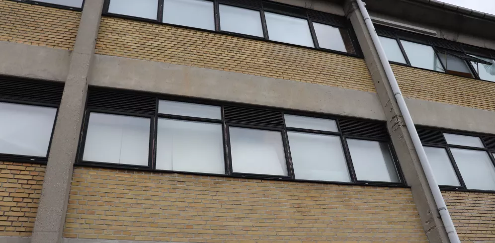 Marielundvej - Glas til uld projekt