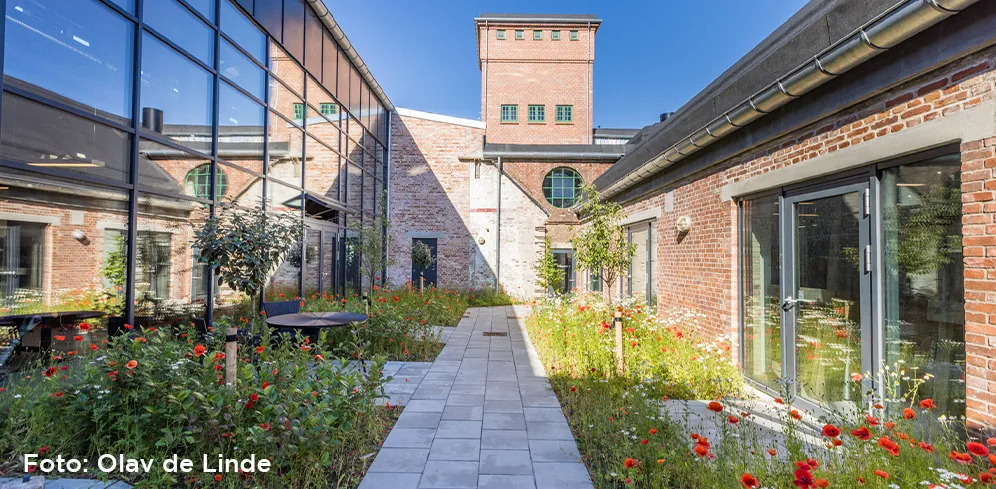 Udeområde Havnegade 16 Odense