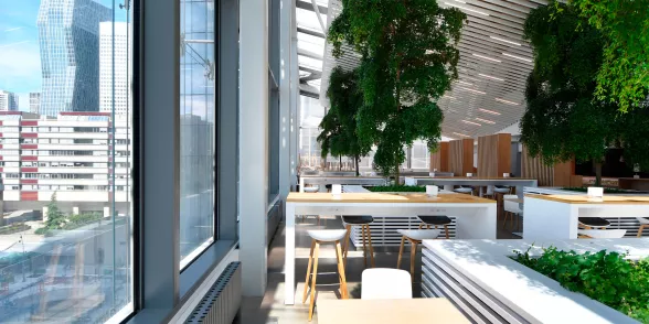 Træ i Saint-Gobain hovedkvarter i Paris