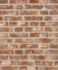 RT 455 Terracotta
