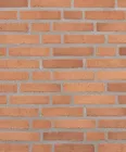 RT 490 Ruby ReClay