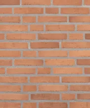 RT 490 Ruby ReClay