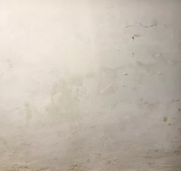 Weber Dry Renovation før